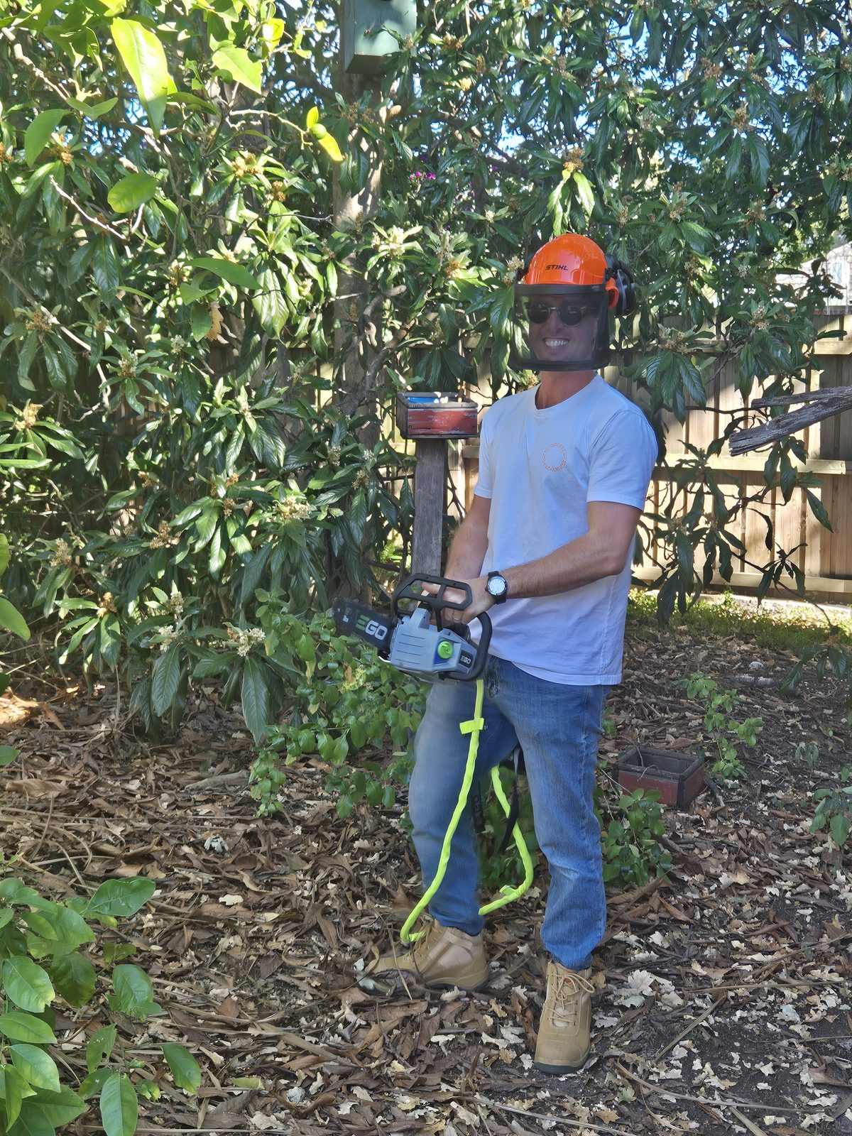 Certified arborist with PPE and chainsaw